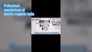 الشركة المصنعة المهنية في القفل المغناطيسي الكهربائي